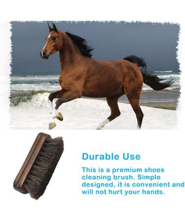 dijiusidy Shoe Scrubbing Brush Wood Professional Polishing Tools Heavy-Duty Dirt Remover Polish Brushes Shop Bags for Boots Maintenance - Buy Online on GoSupps.com