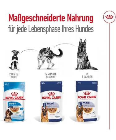 Royal Canin Maxi Ageing 8+ | Pack of 4 | 4 x 10 x 140 g | Complete Food for Dogs | for Large Older and Senior Dogs (26 to 44 kg) | From 5 Years - Buy Online on GoSupps.com