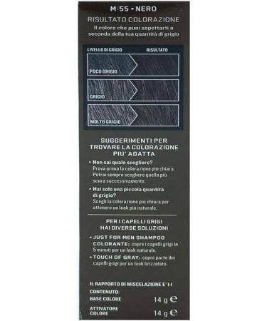 Just For Men Beard and mustache permanent color with black brush M55 2 x 14 ml - Buy Online on GoSupps.com