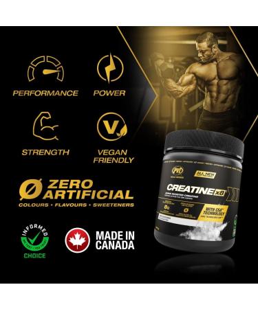 PVL Creatine X8 - Advanced Creatine Monohydrate Powder - Amino Acid Boosted Creatine Powder - Workout Supplement - Zero Sugars or Fillers -249 g - 30 Serving - Buy Online on GoSupps.com
