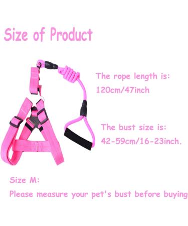 Woyous Adjustable 2-Part Animal Dishes Set for Small Pets - Pink & Blue - Ideal for Pigs Dogs and Rabbits - Perfect for Walking & Playing - Buy Online on GoSupps.com