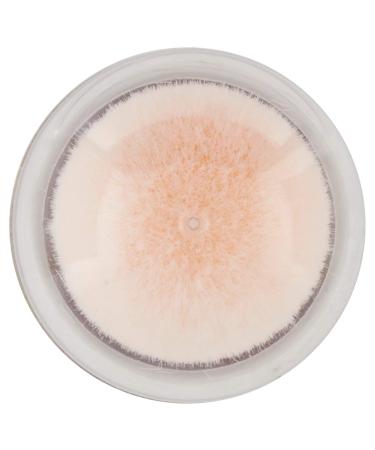 Maybelline New York Correction Fluid with Goji Berries & Haloxyl - Covers Dark Circles & Fine Lines - 03 Fair (9 Pack) - 6.8 ml - Buy Online on GoSupps.com