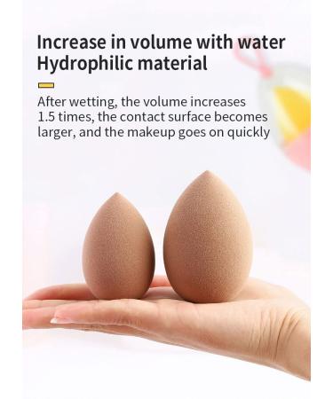 Buy Pink Makeup Sponge - Premium Quality Beauty Blender for Flawless Application | International Shipping Available - Buy Online on GoSupps.com