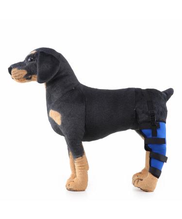 Dog Right Hind Leg Knee Brace Dog Braces for Back Legs Super Supportive for Heals Prevents Injuries Sprains Protects Wounds. C Medium