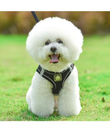Femax Soft Mesh Dog Harness with Leash for Small & Medium Dogs | Adjustable Reflective No Pull Vest for Chihuahua & Cats - XS (26-29cm) - Black - Buy Online on GoSupps.com