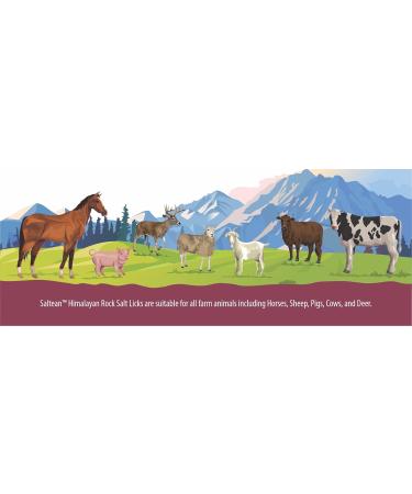 Himalayan Rock Salt Lick For Small Animal/Pet Licks Hanging -86gram- 2 cube salt(PACK OF 12) - Buy Online on GoSupps.com