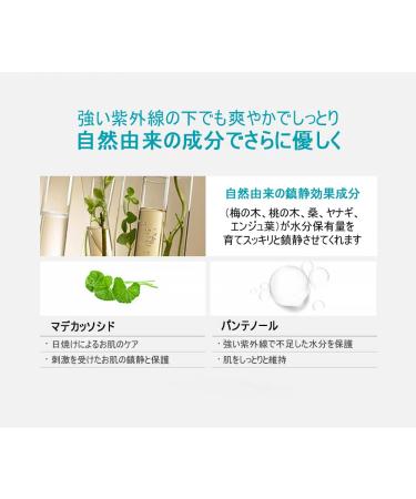 GOONGBE Creamy Sun Cushion SPF40 PA+++ 12g - 100% Physical Sunscreen - K-beauty - 0.42 Ounce (Pack of 1) - Buy Online on GoSupps.com