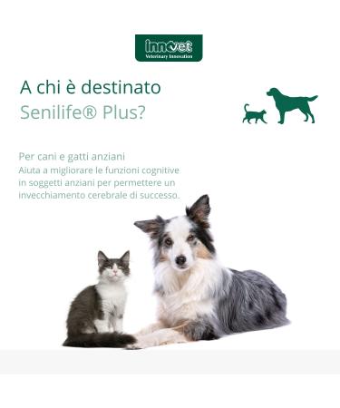 Senilife Plus for the well-being of the brain of older dogs and cats improves cognitive functions and memory for successful brain aging 60 single-dose capsules - Buy Online on GoSupps.com