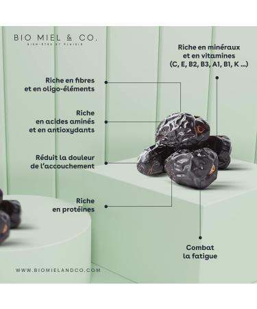 Nadaty Premium Ajwa Dates of Medina 400 g A Remedy for Body and Mind - Buy Online on GoSupps.com