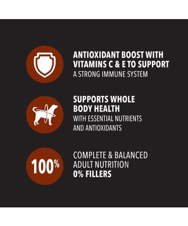 IAMS ADVANCED HEALTH Dog Food Dry IMMUNE HEALTH Adult Chicken & Superfoods Recipe 12.2kg Bag 12.25 kg (Pack of 1) - Buy Online on GoSupps.com