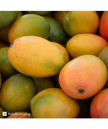 Kyabo 3Lbs Mango Butter - Premium Organic Unrefined Raw Virgin Cold Press Grade A - 100% Pure Non GMO Natural Moisturizer for Skin and Body Care - Perfect for DIY Body Butters, Soap Making, Lotions, and Creams - Buy Online on GoSupps.com