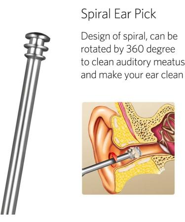 Stainless Steel Ear Cleaner Tool Set for Safe Ear Wax Removal - Includes Ear Curette, Ear Pick, Swab, Brush, and Storage Box - Buy Online on GoSupps.com