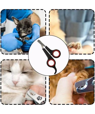 Hooluuwongm Cat Nail Clipper No Shred Pet Claw Trimmer Clean Cut Cat Claw Clipper for Tiny Dog Rabbit Bird (Stainless Steel) - Buy Online on GoSupps.com