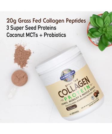 Garden of Life Grass Fed Collagen Protein Chocolate Coconut MCTs 20.74 oz (588 g) - Buy Online on GoSupps.com