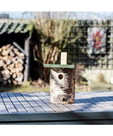 Natural Birch Log Nest Box 32mm Hole - popular with Great Tits Pied Flycatchers Tree Sparrows and House Sparrows - Buy Online on GoSupps.com