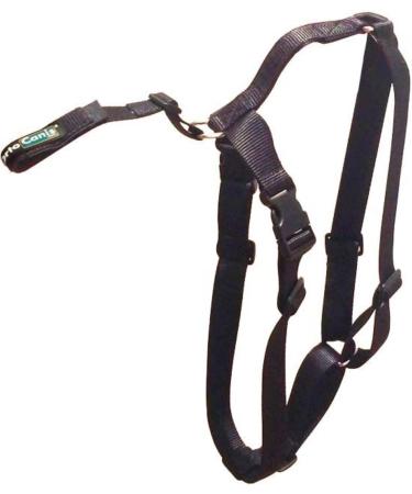 Ortocanis - Dog Back Belt Lumbar Fixation for Knee Brace Belt Only Size XS - Buy Online on GoSupps.com
