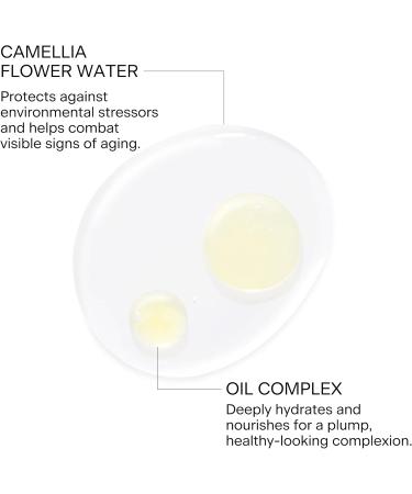 FEMMUE Dual Essence Camellia Hydrating Face Toner Mist (1.18 oz Travel Size) | Light & Refreshing Facial Moisturizer | Korean Skincare 1.18 Ounce (Pack of 1) - Buy Online on GoSupps.com