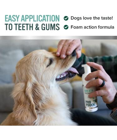 Pro Pooch Dog Breath Freshener - Combat Bad Breath, Tartar & Plaque Build Up - Dog Mouthwash for Fresh Breath & Oral Hygiene - Safe for Your Pooch or Cat - Buy Online on GoSupps.com