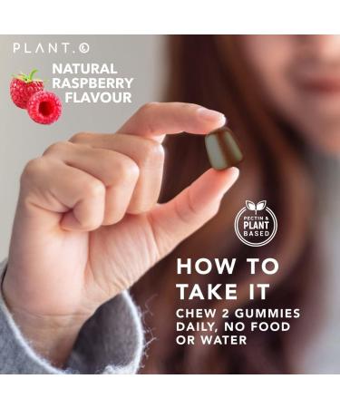 Premium Mushroom Gummies - 10 Mushroom Complex Extract for Brain & Immune Support - Lion's Mane, Reishi, Shiitake - Nootropic Formula for Mood & Relaxation - 60 Chews - Buy Online on GoSupps.com