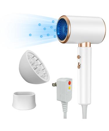 Negative Ion Hair Dryer 1600W Fast Drying Hair Care Hair Dryer with Diffuser Concentrator Nozzle and Anti Leakage Plug(White)