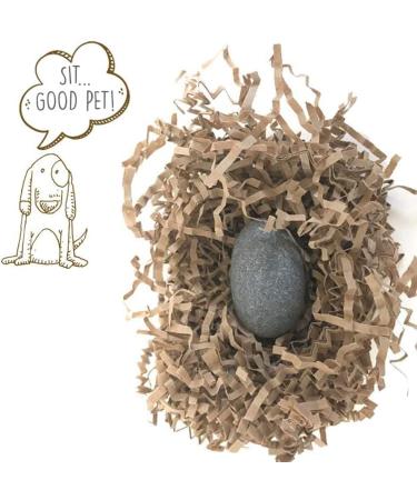 Pet Rock - The Original by Gary Dahl | Unique and Nostalgic Collectible - Buy Online on GoSupps.com