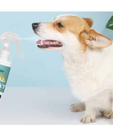 SHZONS Pet Oral Care Spray for Dogs Effective Dog Teeth Cleaning Spray 180ml Odor Removal Pet Clean Teeth Spray Dog Teeth Cleaning Spray for Dogs and Cats - Buy Online on GoSupps.com