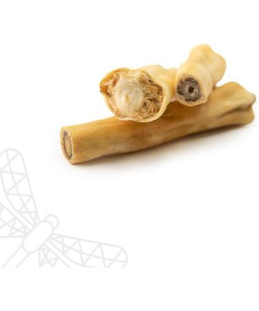 Dragonfly Beefy Tails Healthy Dog Chew Pack of 3 - Buy Online on GoSupps.com