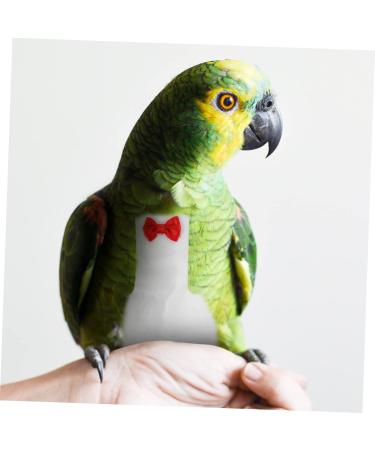 PopetPop Flying Bird Diapers - Protective Parrot & Pigeon Outfit | Sittich Diapers for Birds - 20x11cm Neoprene Suit - Buy Online on GoSupps.com