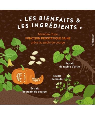 Natesis - Organic Prostate Comfort - 100 Capsules - Men's Urinary Disorders - High Quality Effective Complex of Squash Seed Extracts Nettle Root and Boldo Leaf - Buy Online on GoSupps.com