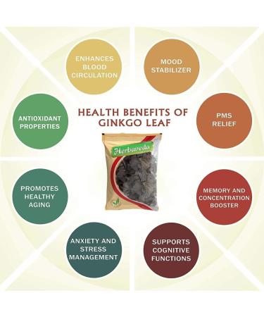 HB Ginko Biloba Tea Leaves 500g | Enhances Brain Function & Improves Concentration - Buy Online on GoSupps.com