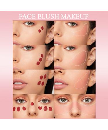 Aaiffey Liquid Blush Set - 4 Mini Natural Cheek Colors for Dewy & Long-Wearing Makeup | Korean Cosmetic Blush - Buy Online on GoSupps.com