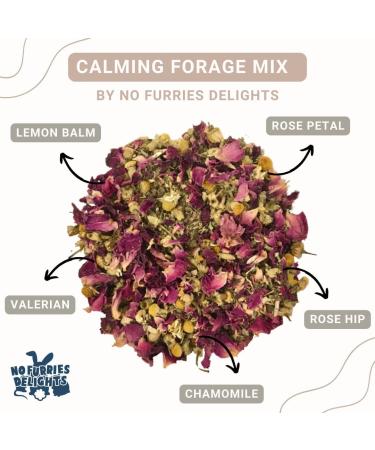 No Furries Delights Forage Mix 100% All Natural Botanical Herb Treat for Rabbit Hamster Guinea Pig Chinchilla Chicken Hermit Crab Gerbil Degu & Other Small Animals (Calming Forage Mix 25g) Calming Forage Mix 25 g (Pack of 1) - Buy Online on GoSupps.com
