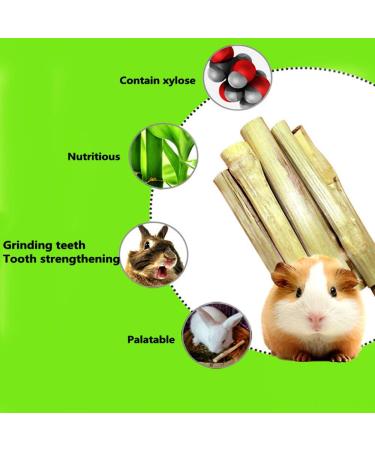 Natural Sweet Bamboo Rabbit Chew Toys & Treats for Healthy Teeth & Gums Ideal for Rabbits, Hamsters, Chinchillas, Guinea Pigs, Squirrels 5.29 oz (1 Pack) - Buy Online on GoSupps.com