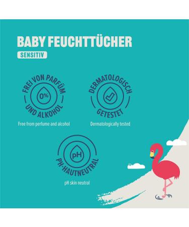 Buy Amazon Baby Wet Wipes Sensitive with Aloe Vera - 480 Pieces (12 Packs of 80) | Worldwide Shipping Available - Buy Online on GoSupps.com