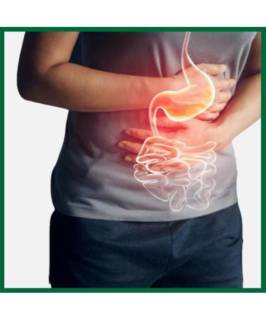 Punarnavadi Guggulu - Natural Diuretic | Ayurvedic Supplement for Healthy Liver & Kidney | Reduce Swelling | 60 Tablets Available for International Shipping - Buy Online on GoSupps.com