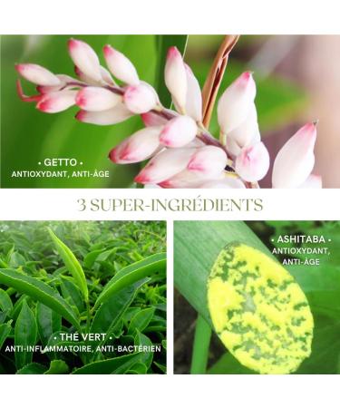  BIJIN ToKyo - Paris Okinawa Concentrated Youth Serum Organic Anti-Aging Anti-Wrinkle Vegan 50 ml - Buy Online on GoSupps.com