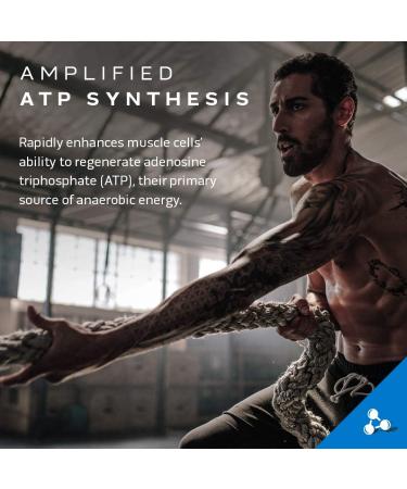 MuscleTech Whey Protein Powder Nitro-Tech | Isolate & Peptides & Cell-Tech Creactor Creatine HCl Powder | Post Workout Muscle Builder Powder + HCl Powder - Buy Online on GoSupps.com