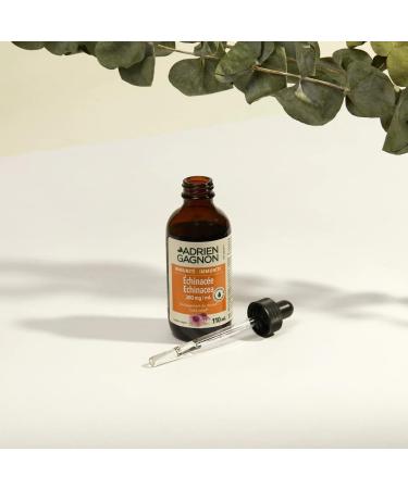 Adrien Gagnon - Echinacea Extra Strength - Relieves Cold Symptoms and Sore Throats - (110 ml) - Buy Online on GoSupps.com