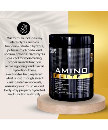 Fitness Culture Amino Elite BCAA EAA Powder with Glutamine & Electrolytes - Cool Strawberry Lime Flavor 420g - 26 Servings - Buy Online on GoSupps.com