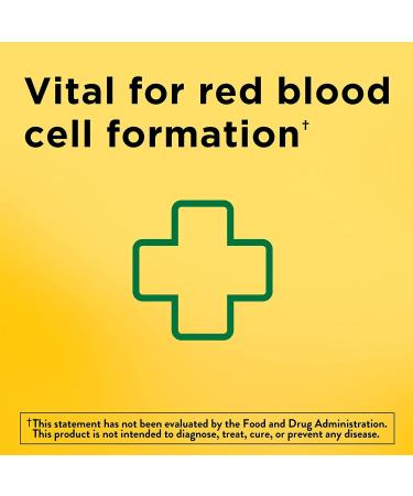 Nature Made Iron 65 mg Tablets | Red Blood Cell Support | 365 Day Supply - Buy Online on GoSupps.com