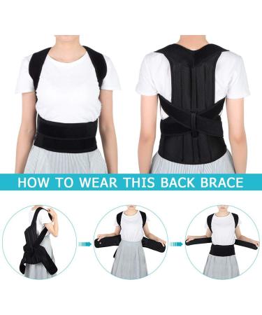 Adjustable Back Brace Posture Corrector for Men & Women | Lumbar Waist Support Belt | Improve Posture & Relieve Pain (L 31-42 - Buy Online on GoSupps.com