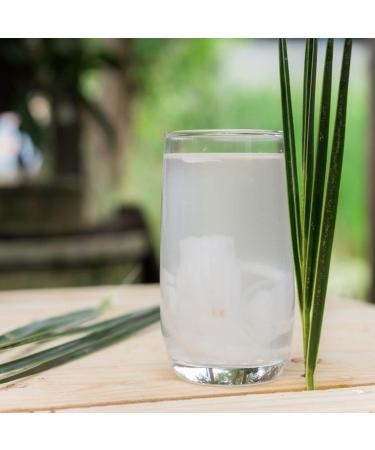 OKF Coconut drink 1.5 l - Buy Online on GoSupps.com