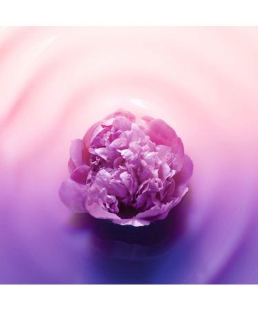  L'Oreal Paris L'Oreal Age Perfect Night Cream Age d'Or 50ml - Buy Online on GoSupps.com