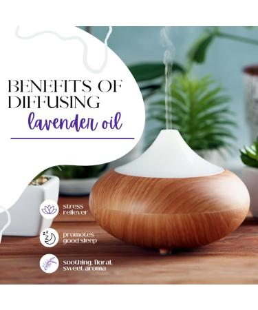 GreenHealth Lavender Essential Oil 1/2 fl oz (15 ml) Amber Glass Bottle w/Euro Dropper 100% Pure & Uncut Lavender Oil for Diffusers Aromatherapy Candles Soaps & DIY - Buy Online on GoSupps.com