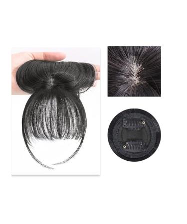 Bangs Clip in Bangs Front Synthetic 3D Air Fringe Bangs Clip in Bang Hair Extensions Straight Synthetic Hairpiece Soft Natural Hair Accessories For Women Girl for Women Curved Bangs for Daily Wear ( 1 PC C-2(4)