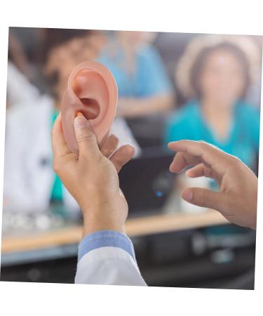 FOMIYES Silicone Human Ear Model for Piercing Teaching Display - Coffee 6.5x3.5cm - Buy Online on GoSupps.com