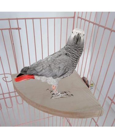 Bird Wood Perch Platform Stand Chew Toy | XL Size 7.87x7.87 Inch | Cage Accessories for Parakeet Cockatiel Lovebird Conure Finch African Grey Canary Cockatoo Hamster Chinchilla Guinea Pig Gerbil Rat - Buy Online on GoSupps.com