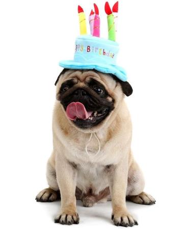 Cute Birthday Cake Hat for Pets with 5 Color Candles - Blue - Buy Online on GoSupps.com