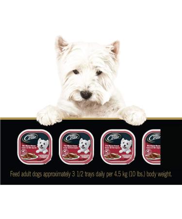 CESAR Adult Wet Dog Food Classic Loaf in Sauce Entr es - Filet Mignon 100g Tray (24 Pack) Filet Mignon 100 g (Pack of 24) - Buy Online on GoSupps.com