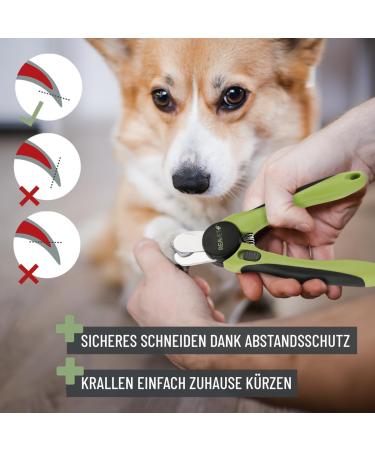 Reavet Claw Scissors for Dogs & Cats - Stainless Steel Nail Clippers with Claw File & Distance Holder for Pet Nail Care - Buy Online on GoSupps.com